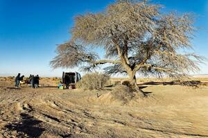 san Pedro de Atacama - el loa - Antofagasta região - Chile. turistas apreciar café da manhã às alvorecer dentro a Atacama deserto panorama. foto