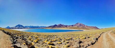 miscanti altiplânico lagoa dentro a Atacama deserto - san Pedro de atacama. foto