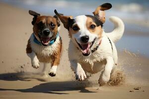 dois feliz cachorros corrida em a praia, jack russell terrier, jack russell terrier, jack russell terrier e jack russell terrier jogando dentro a areia, ai gerado foto