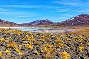 salar de aguas calientes ponto de vista - Atacama deserto - san Pedro de atacama. foto