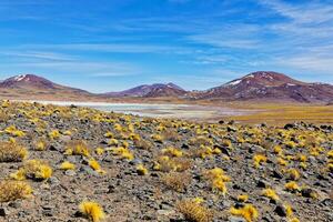 salar de aguas calientes ponto de vista - Atacama deserto - san Pedro de atacama. foto