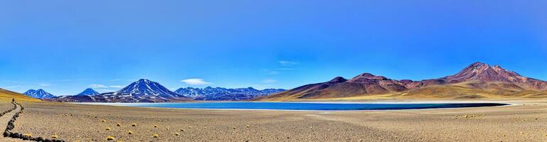 miscanti altiplânico lagoa dentro a Atacama deserto - san Pedro de atacama. foto
