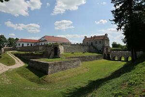 ternopil, Ucrânia - agosto 23, 2023 medieval fortaleza dentro zbarazh, ternopil região, oeste Ucrânia castelo foto