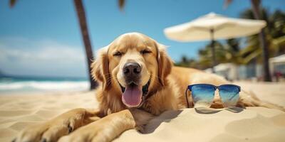 dourado retriever cachorro é em verão período de férias às beira-mar recorrer e relaxante descansar em verão de praia do Havaí. ai generativo foto
