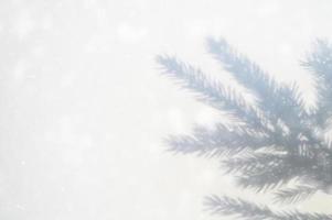 sombra de galho de árvore de natal foto