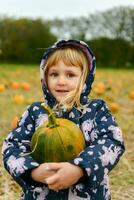 fofa pequeno sorridente menina colheita acima uma verde e laranja abóbora foto