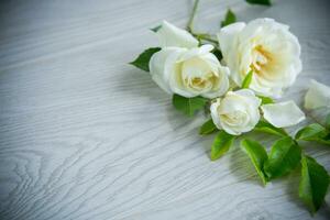 lindo branco verão rosas, em uma de madeira mesa foto