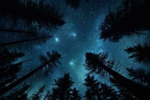 noite céu dentro floresta, Visão do Estrela em noite céu através árvore brunches. ai generativo foto