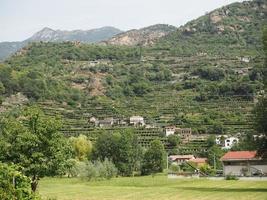 vinhedo no vale dos aosta, itália foto