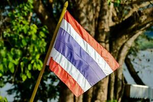 Tailândia bandeira em uma pólo dentro frente do uma árvore foto