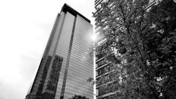 abstrato reflexão do moderno cidade vidro fachadas. moderno escritório construção detalhe, vidro superfície. Preto e branco. foto