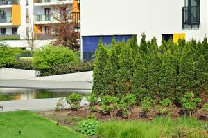 ornamental arbustos e plantas perto uma residencial cidade casa foto