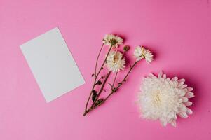 flor e cartão em branco sobre fundo rosa foto