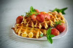 doce coalhada cozinhou waffles com fresco maduro morangos foto