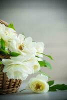 ramalhete do lindo branco rosas em mesa foto