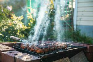 dourado Castanho grelhado frango carne é cozinhou em a grade ao ar livre foto