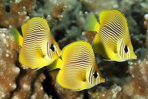 mar vida exótico tropical coral recife cobre borboleta peixe. neural rede ai gerado foto
