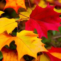 outono laranja, folhas outono abstrato fundo, folha aleatória elemento ao ar livre ai generativo foto