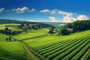 panorama do vinhas e Vila dentro tcheco república. rural paisagem, panorâmico foto do uma lindo agrícola Visão com Pimenta e alho-poró plantações, ai gerado