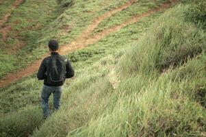 mochileiro homem caminhando dentro a interior, aventureiro homem descendente a partir de uma colina, homem com mochila indo baixa uma Colina foto