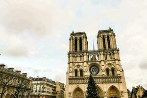 a catedral do notre dame dentro Paris foto