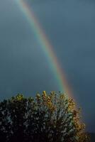 Duplo arco Iris sobre majestoso árvore foto