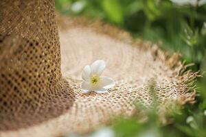 branco flores em uma Palha chapéu dentro verão foto