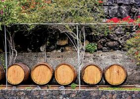 barris de vinho de madeira foto