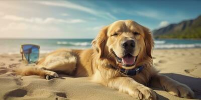 dourado retriever cachorro é em verão período de férias às beira-mar recorrer e relaxante descansar em verão de praia do Havaí. ai generativo foto