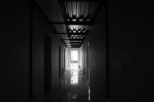 Sombrio misterioso corredor dentro prédio. porta quarto perspectiva dentro solitário quieto construção com luz em Preto e branco estilo. Horror panorama conceito. foto