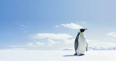 pinguim em pé dentro Antártica olhando para dentro a azul céu. ai gerado foto