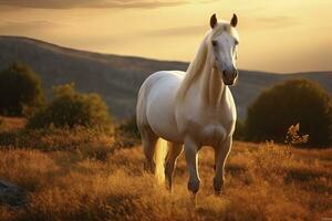 branco cavalo ou égua dentro a montanhas às pôr do sol. ai gerado foto