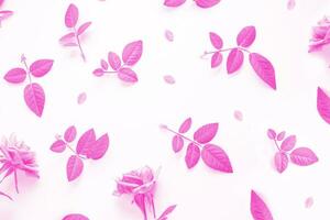 flor colorida brilhante rosa. fundo floral foto