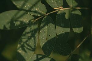 fechar acima do verde folhas com água gotas em isto. natural fundo. foto