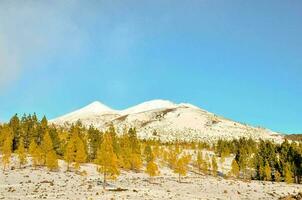 uma Nevado montanha com amarelo árvores e neve foto