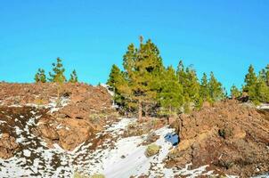 uma Nevado montanha com amarelo árvores e neve foto