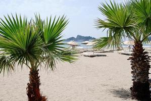 praia de areia com palmeiras na turquia, mar mediterrâneo