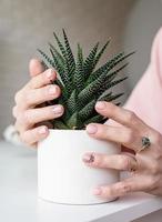 mão feminina com manicure recém-feita segurando uma planta de vaso suculenta