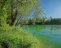 uma rio com verde água e árvores em a costa foto