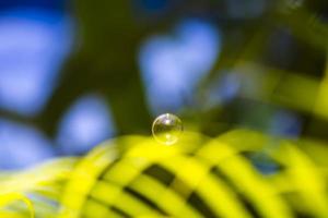 bolhas de água flutuando e caindo sobre folhas verdes foto