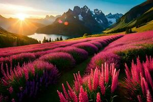 a Sol sobe sobre uma campo do Rosa flores dentro a montanhas. gerado por IA foto