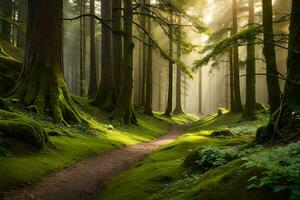 uma caminho através uma floresta com árvores e musgo. gerado por IA foto