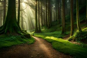 uma caminho através uma floresta com luz solar brilhando através a árvores gerado por IA foto