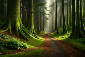 uma caminho através uma floresta com alta árvores gerado por IA foto