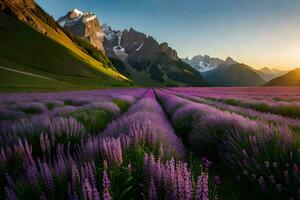 a lavanda campo dentro a montanhas. gerado por IA foto