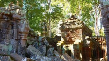 ta prohm temple em angkor wat complex, siem reap cambodia. foto