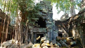 ta prohm temple em angkor wat complex, siem reap cambodia. foto