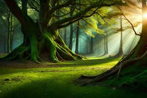 a Sol brilha através a árvores dentro uma floresta. gerado por IA foto