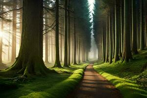 uma caminho através uma floresta com árvores e grama. gerado por IA foto