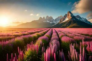 a Sol sobe sobre uma campo do lavanda flores dentro patagônia. gerado por IA foto